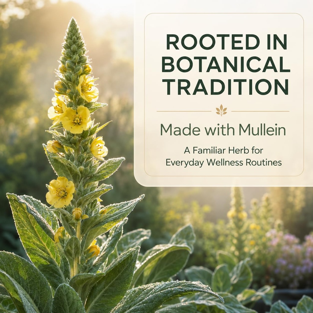 amua-origin-drops-mullein-leaf-extract-d-4.jpg