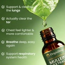 mullein-drops-for-lungs-origin-drop-supe-3.jpg