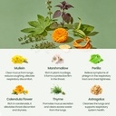 mullein-drops-for-lungs-origin-drop-supe-4.jpg