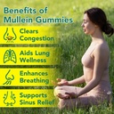 2-bag-mullein-gummies-for-lungs-cleanse--6.jpg