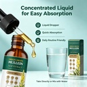 for-lungs-mullein-drops-for-women-men-2--4.jpg