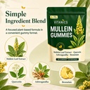vitanics-mullein-gummies-mullein-leaf-ex-5.jpg