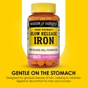 mason-natural-slow-release-iron-ferrous--4.jpg