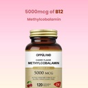 methyl-b-12-5000mcg-chewable-with-folate-6.jpg
