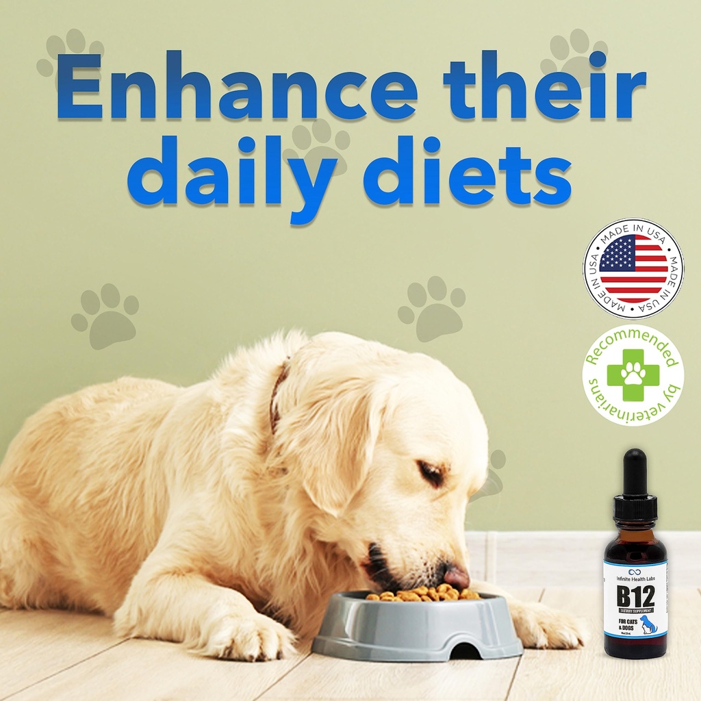 liquid-vitamin-b-12-for-dogs-and-cats-ve-5.jpg