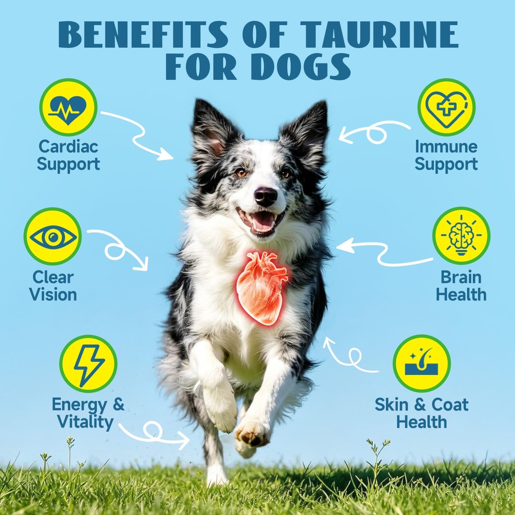 taurine-for-dogs-drops-supports-heart-vi-2.jpg