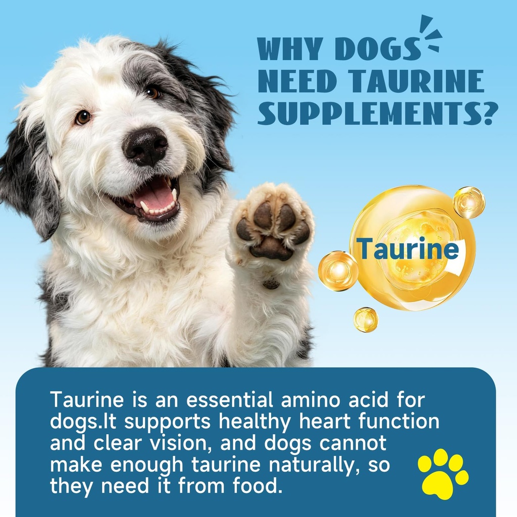 taurine-for-dogs-drops-supports-heart-vi-4.jpg