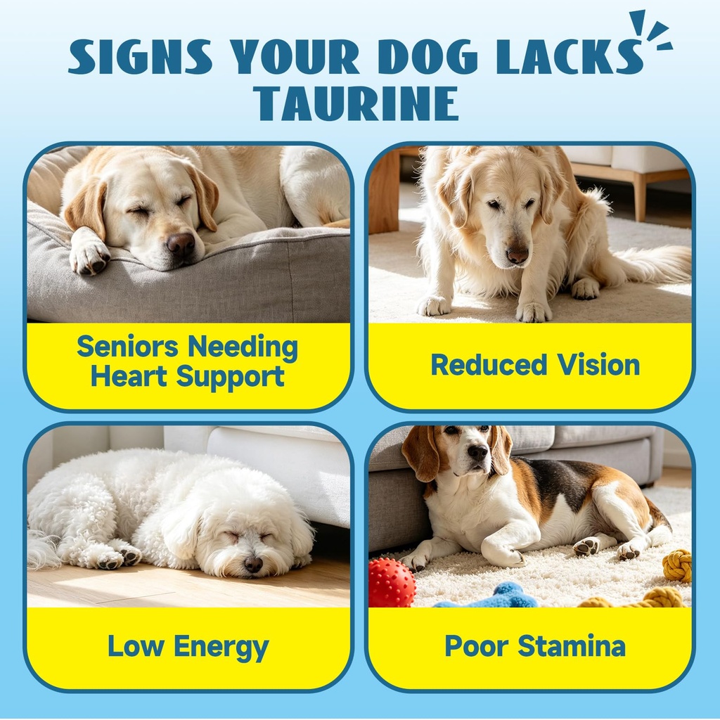 taurine-for-dogs-drops-supports-heart-vi-3.jpg