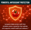 krk-supplements-3-bottles-lycopene-50mg--3.jpg
