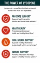 krk-supplements-3-bottles-lycopene-50mg--4.jpg