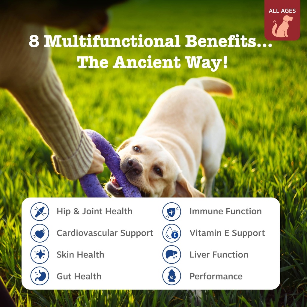 zesty-paws-dog-vitamins-dog-multivitamin-2.jpg