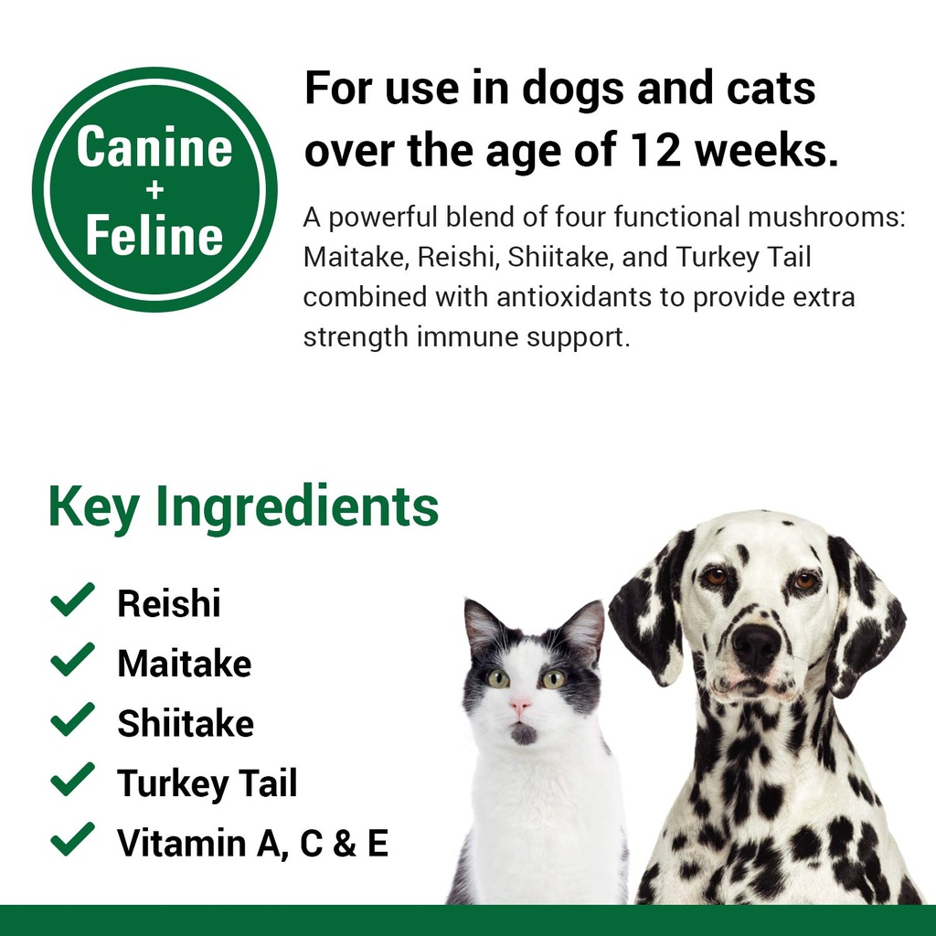 cas-options-immune-support-supplement-fo-6.jpg