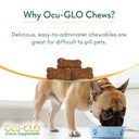 cat-dog-supplement-for-eye-support-chewa-3.jpg