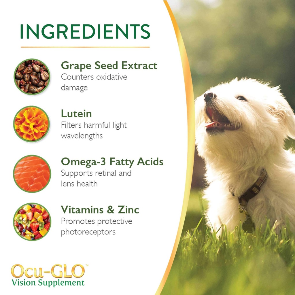 cat-dog-supplement-for-eye-support-chewa-4.jpg