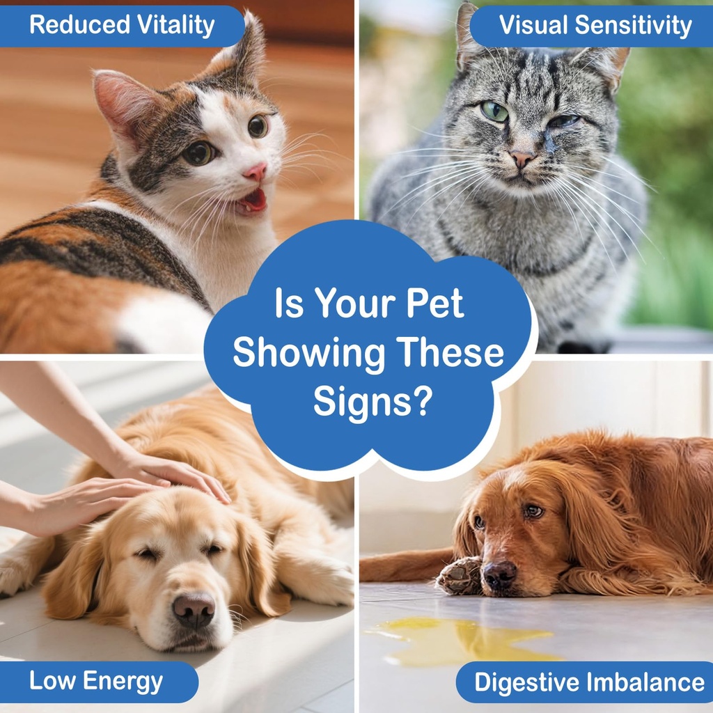 taurine-drop-powder-set-for-cats-dogs-ta-3.jpg