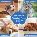 taurine-drop-powder-set-for-cats-dogs-ta-3.jpg