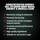 bully-max-3-in-1-liquid-dog-muscle-build-3.jpg
