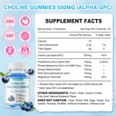 choline-gummies-alpha-gpc-550mg-brain-li-2.jpg