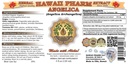 hawaii-pharm-dong-quai-angelica-sinensis-2.jpg