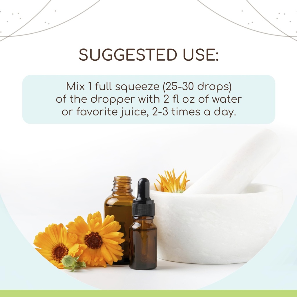 dong-quai-b60-alcohol-free-herbal-extrac-2.jpg