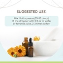 dong-quai-b60-alcohol-free-herbal-extrac-2.jpg