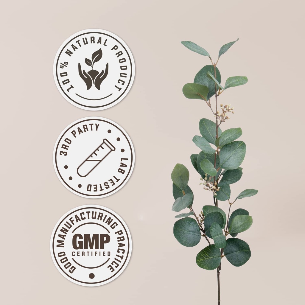 dong-quai-alcohol-free-natural-tincture--4.jpg