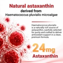 astaxanthin-24mg-with-mct-oil-max-streng-6.jpg