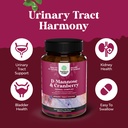 d-mannose-with-cranberry-supplement-d-ma-3.jpg