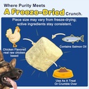 dog-vitamins-multivitamin-powder-omega-3-4.jpg
