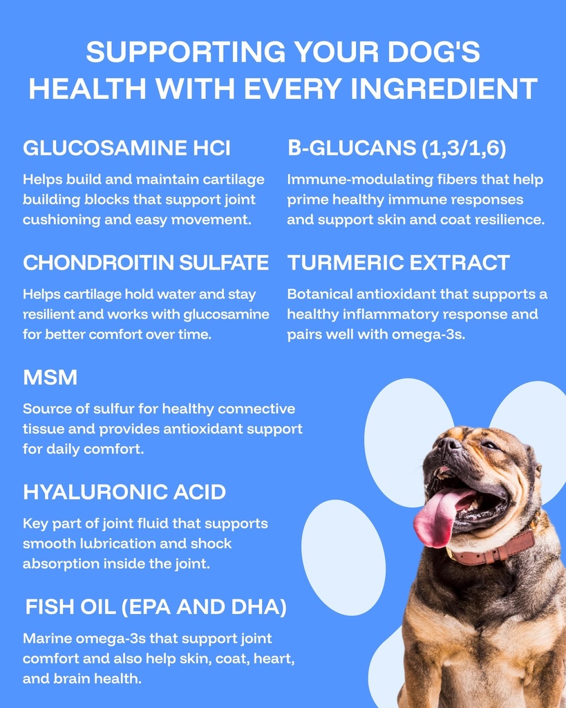 pawprint-wellness-protocol-liquid-multiv-4.jpg