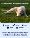 pawprint-wellness-protocol-liquid-multiv-3.jpg
