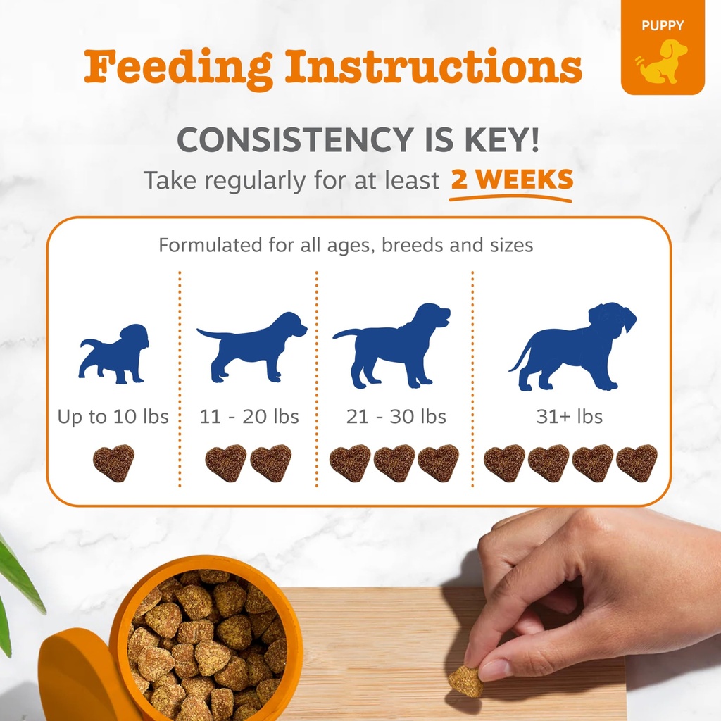 zesty-paws-dog-multivitamin-chewable-dog-4.jpg