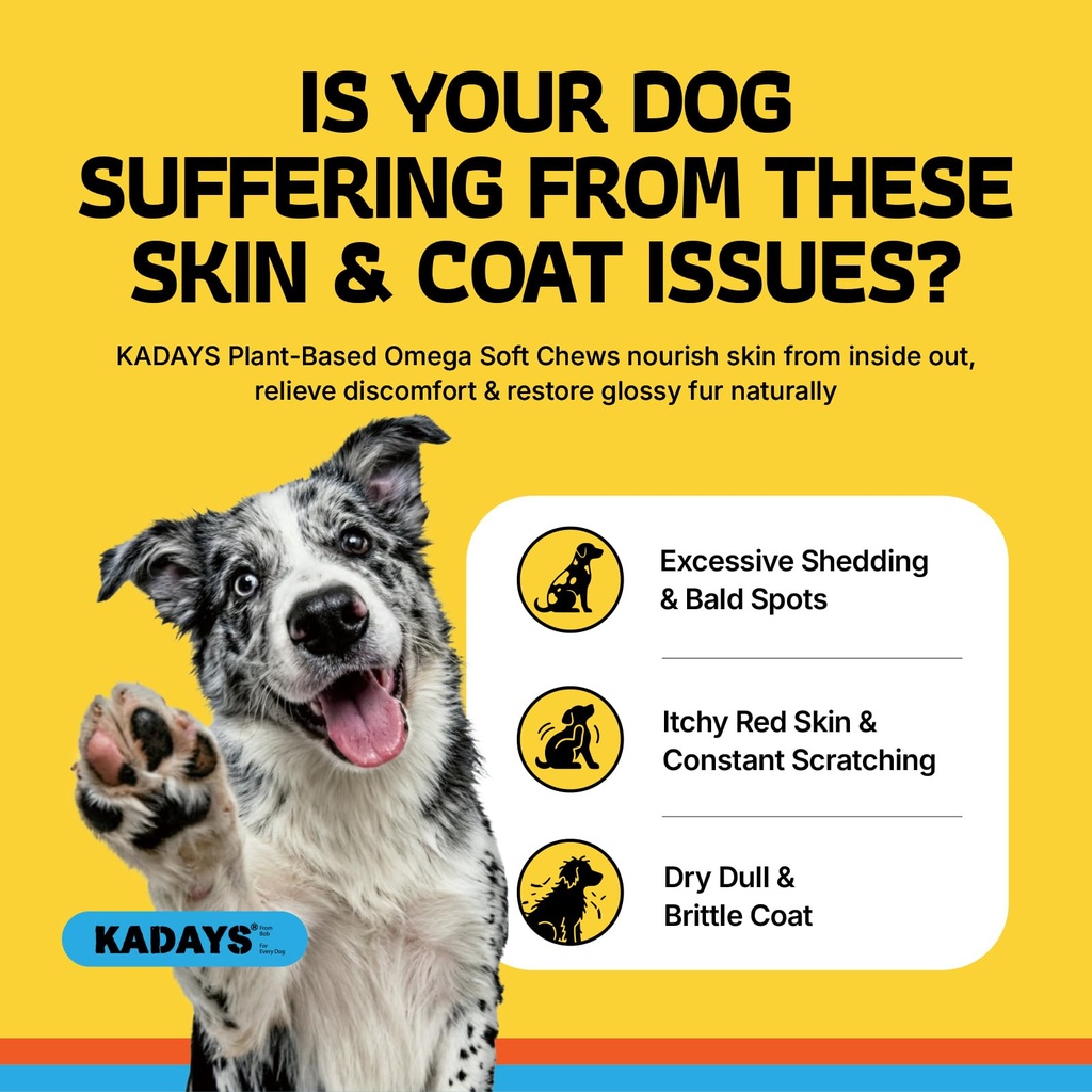 omega-3-skin-and-coat-supplement-for-dog-2.jpg