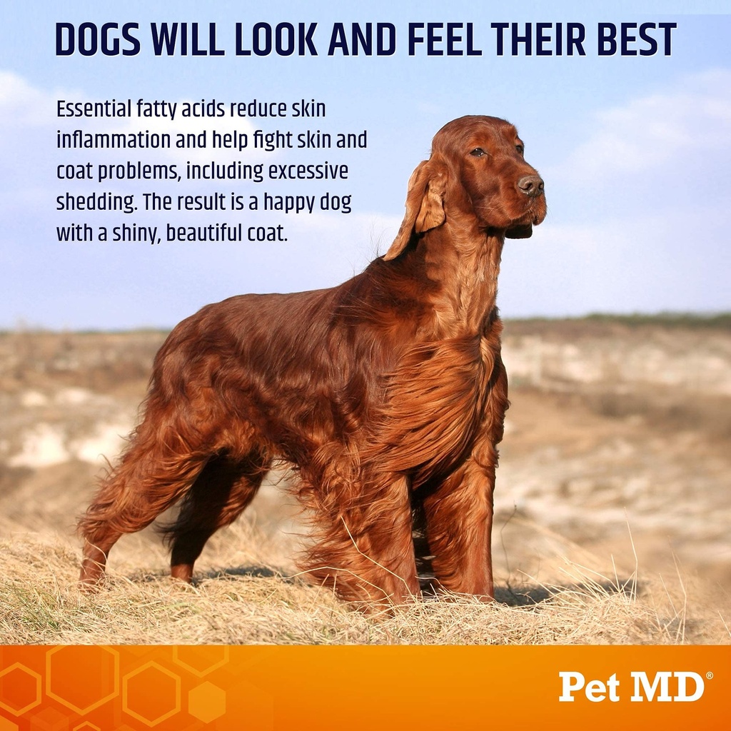 pet-md-salmon-oil-chews-for-dogs-dog-ski-2.jpg