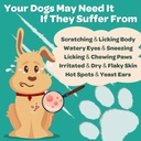 dog-allergy-relief-with-probiotics-for-d-4.jpg