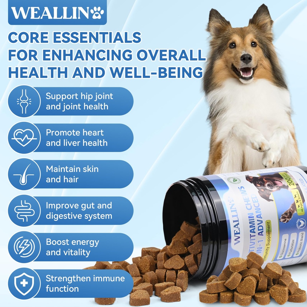 dog-vitamins-dog-probiotic-chews-2.jpg