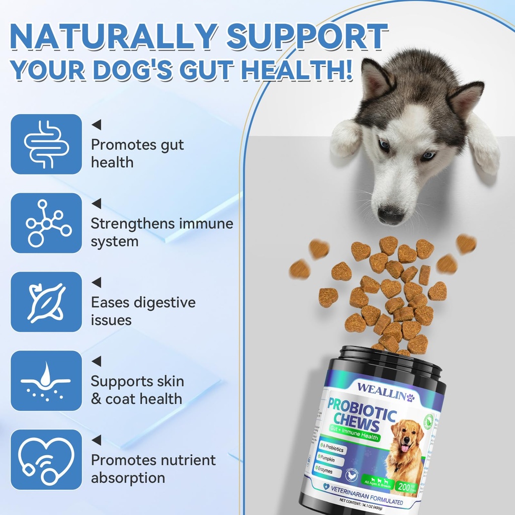 dog-vitamins-dog-probiotic-chews-6.jpg