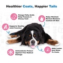doggie-dailies-skin-coat-soft-chews-for--4.jpg