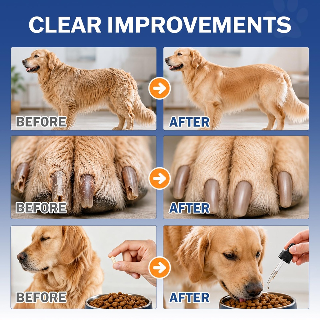 biotin-supplement-for-dogs-healthy-skin--5.jpg