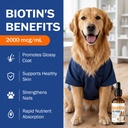 biotin-supplement-for-dogs-healthy-skin--3.jpg