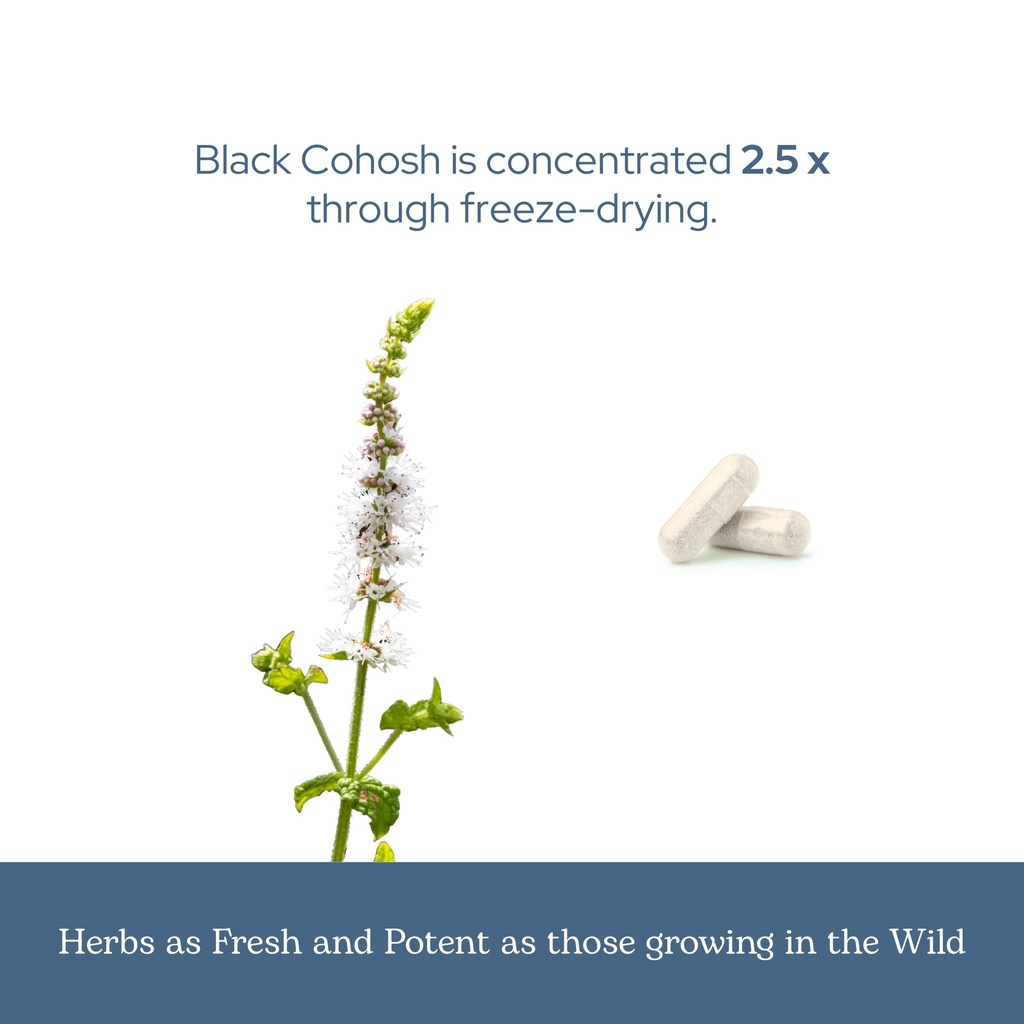 eclectic-herb-black-cohosh-root-capsules-6.jpg
