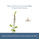 eclectic-herb-black-cohosh-root-capsules-6.jpg