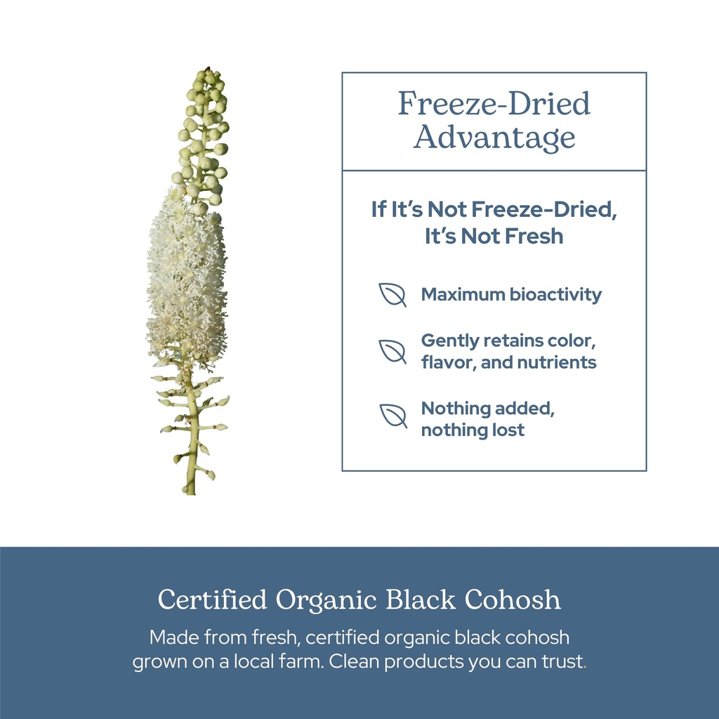 eclectic-herb-black-cohosh-root-capsules-5.jpg