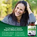 zazzee-usda-organic-bilberry-20-1-extrac-4.jpg