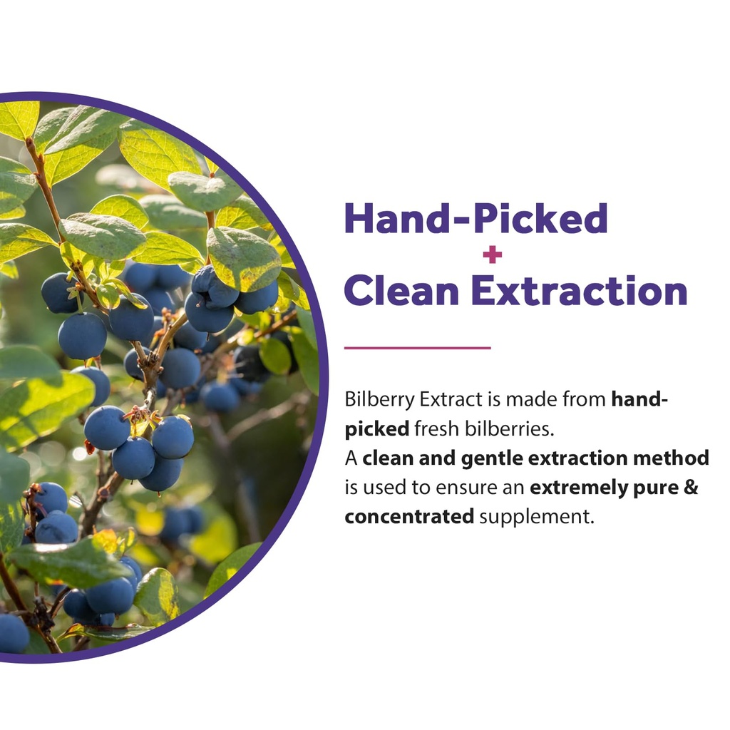 doctor-s-recipes-bilberry-extract-300mg--6.jpg