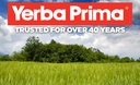 yerba-prima-bilberry-extra-strength-50-c-4.jpg