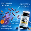holistic-health-labs-vision-alive-max-wi-4.jpg