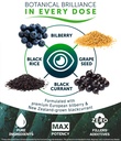 ocuberry-bilberry-grape-seed-black-curra-4.jpg