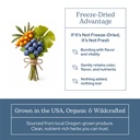 eclectic-herb-eye-food-capsules-vision-s-5.jpg