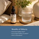 eclectic-herb-organic-bilberry-liquid-he-4.jpg
